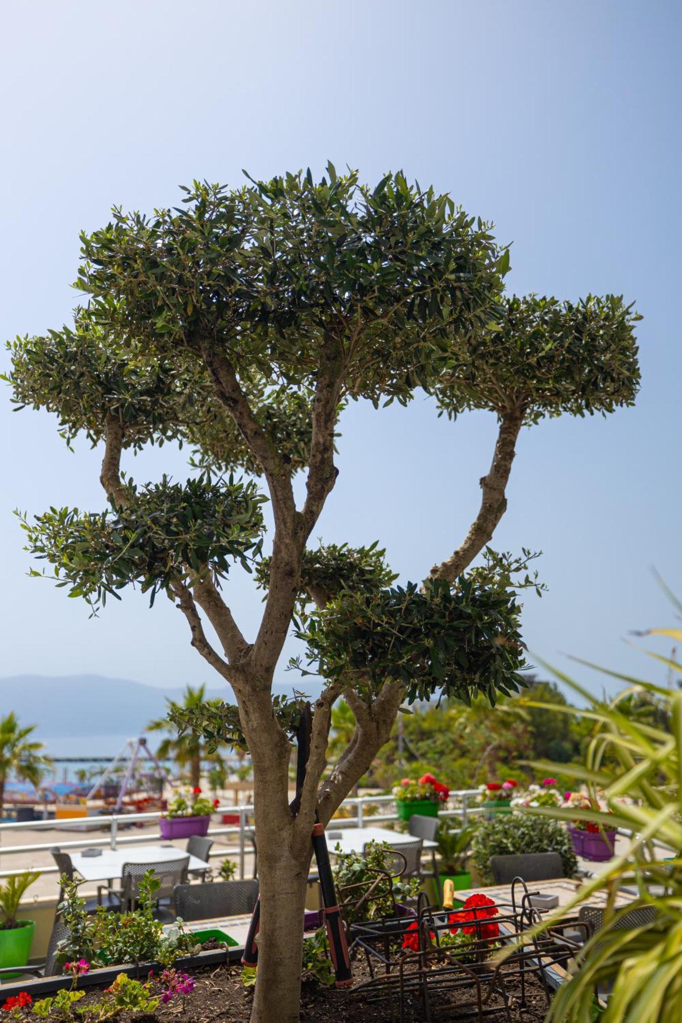 Veranda Boutique Hotel Vlore Ngoại thất bức ảnh